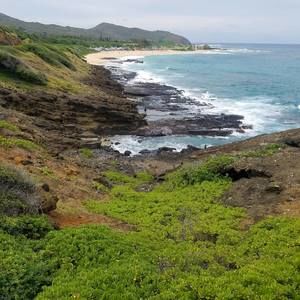 Meet your Posher, Debra